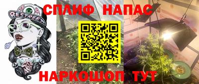 гидра Заволжье