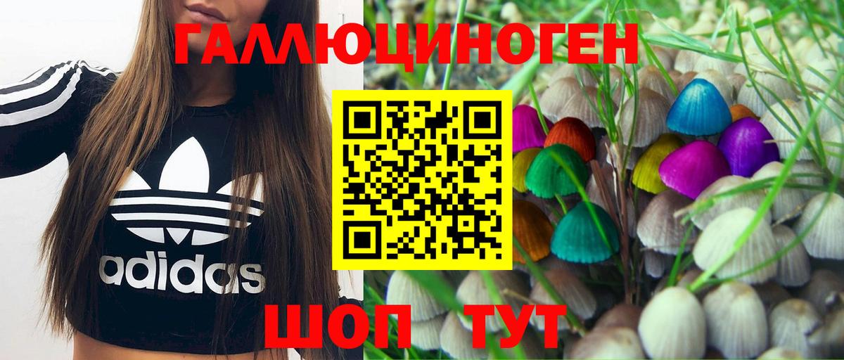 Галлюциногенные грибы GOLDEN TEACHER  Кстово 