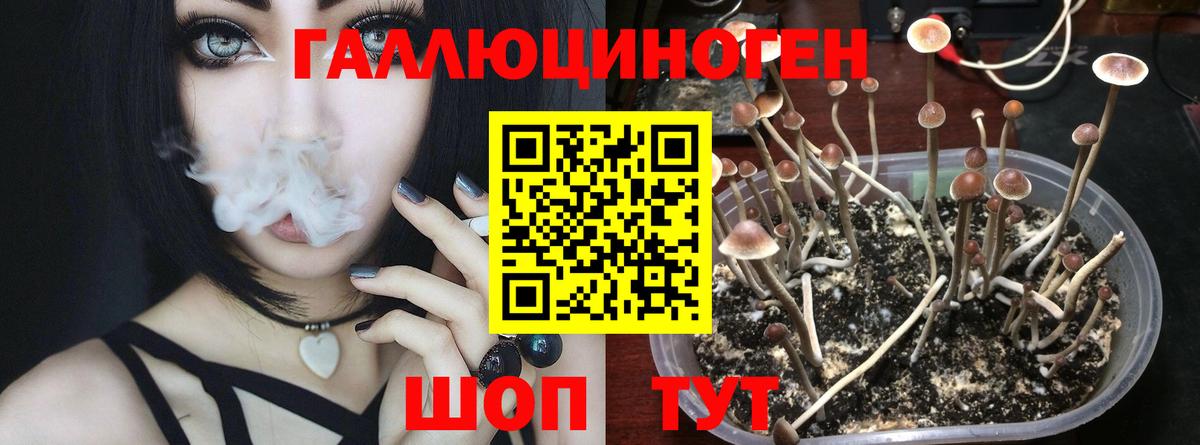Галлюциногенные грибы Magic Shrooms  Вход с VPN  Кстово 